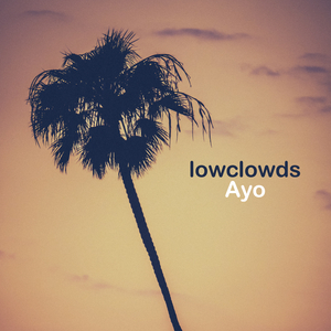 吸粉办公小鹤导航
