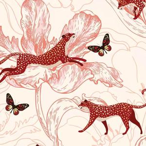 吸粉办公小鹤导航
